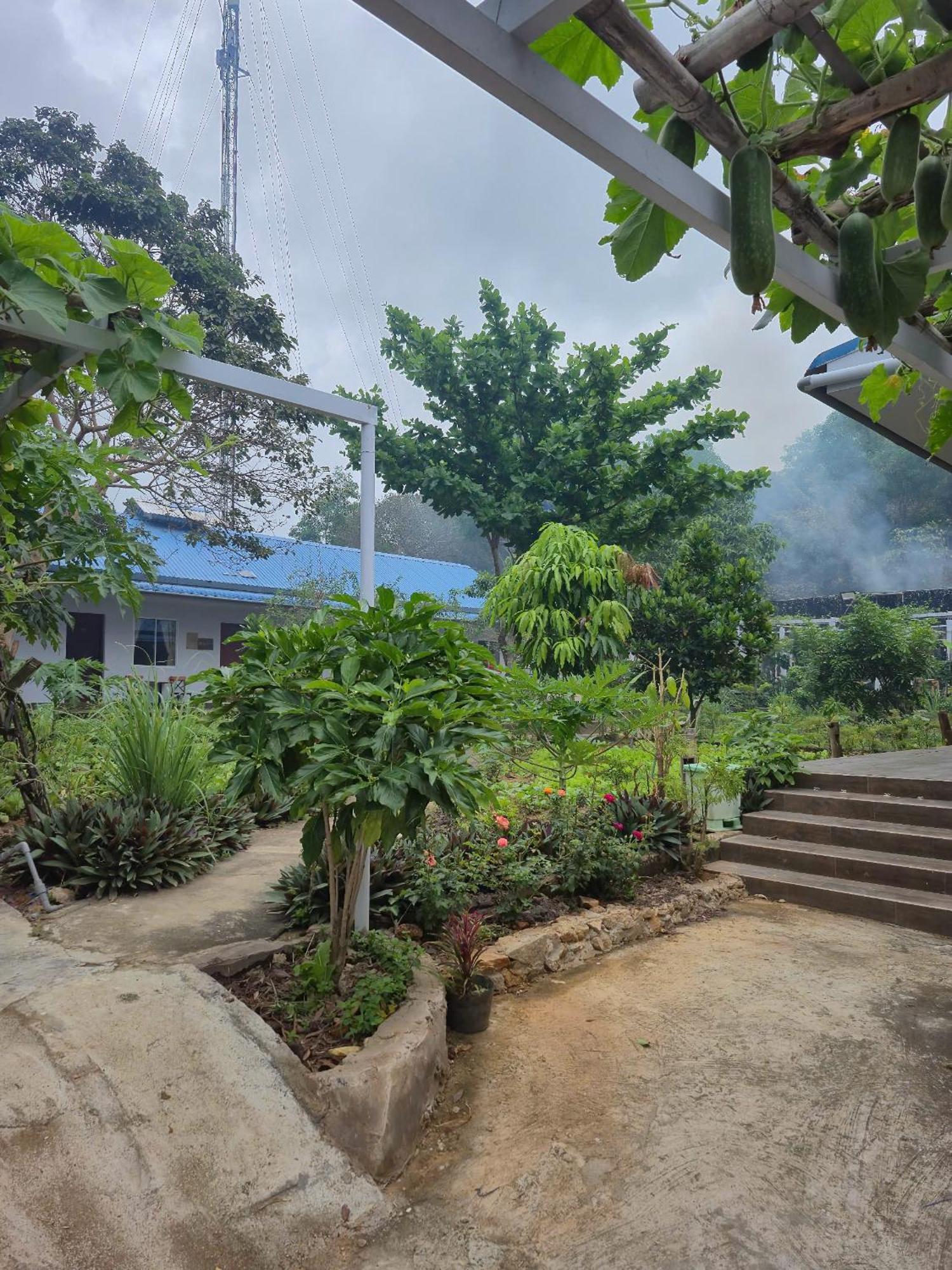 Bungalow Hotel Chi Khu Co Ong Exteriér fotografie